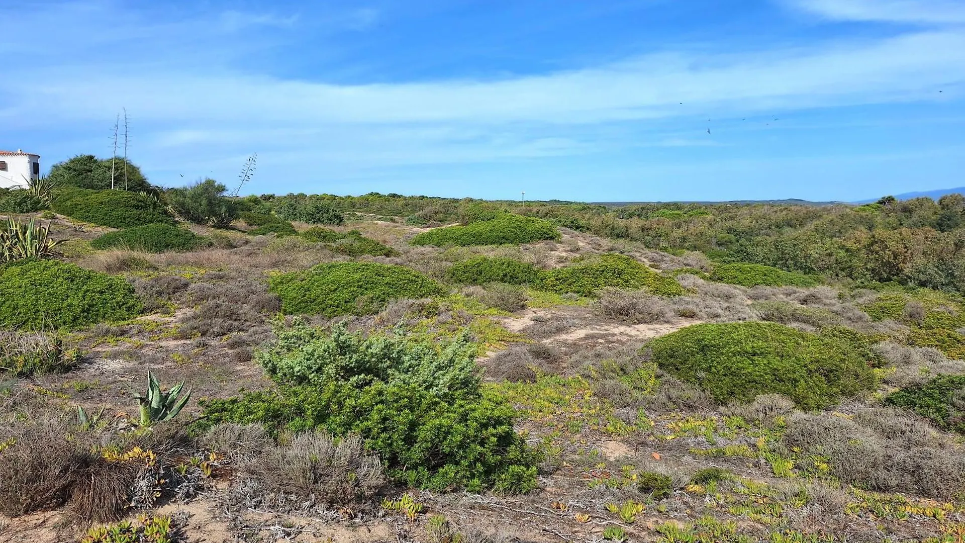 Dune Fossili Iun P3629 San Giovanni di Sinis 0*,  Ιταλία